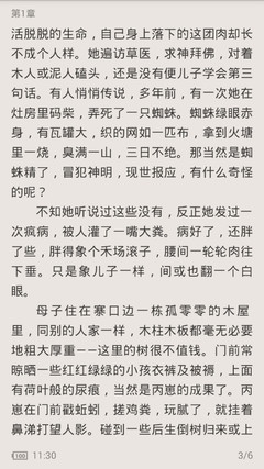 如果菲律宾9g工签不降签回国的话对于自己未来会有多大影响 为您回答